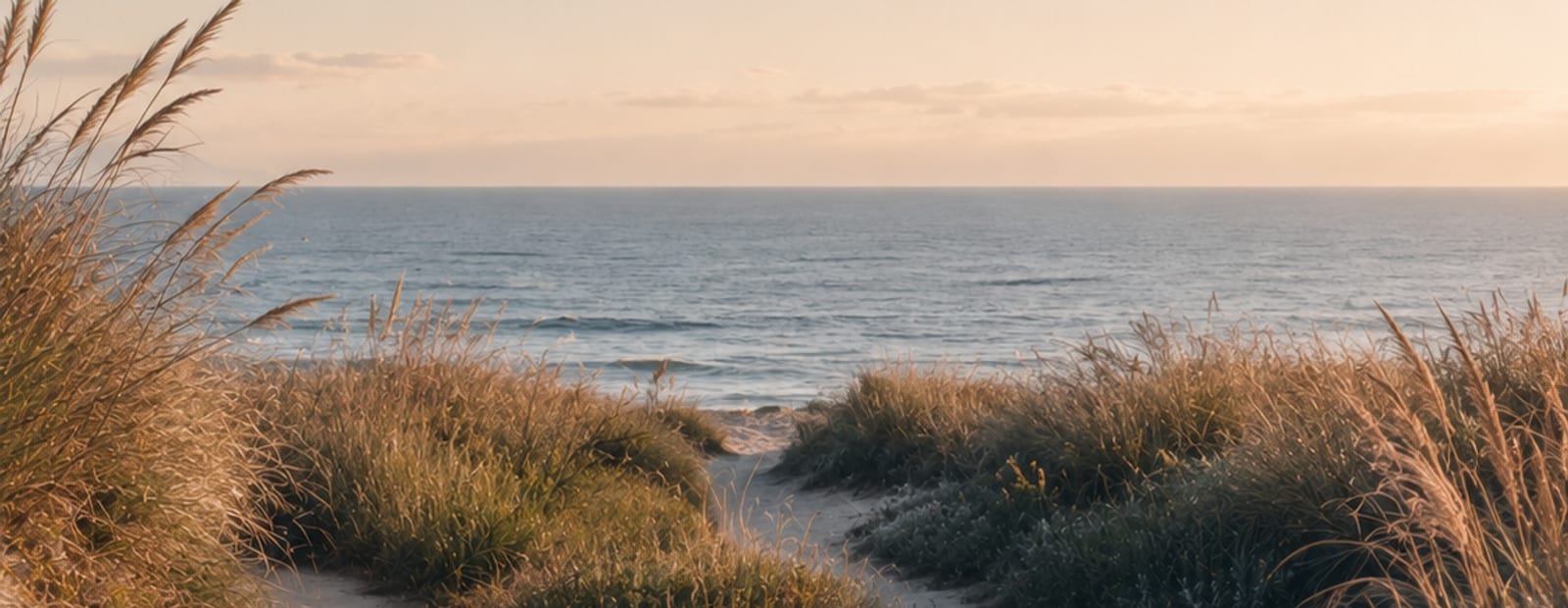 Trilha de areia entre dunas abrindo caminho até o mar, na luz do fim de tarde